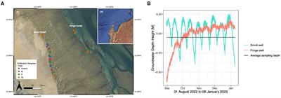 Forest zone and root compartments outweigh long-term nutrient enrichment in structuring arid mangrove root microbiomes